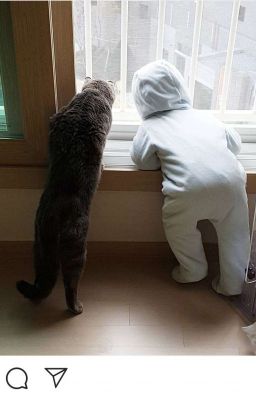 Một Con Mèo Và Hai Con Thỏ [KookMin] [Sinh Tử] [Instagram]
