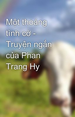 Một thoáng tình cờ - Truyện ngắn của Phan Trang Hy