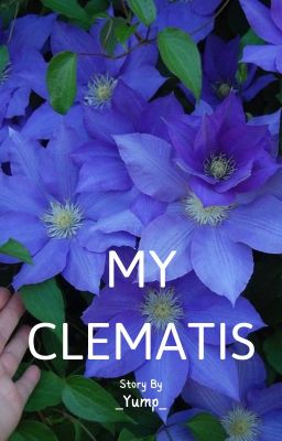 My Clematis [Blue Lock/AllIsagi]
