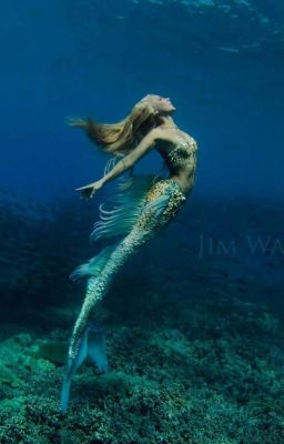 Nàng Tiên Cá - The Little Mermaid - Với Một Kết Thúc Khác