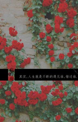[NCT][JaeYong] Đợi ngày hoa nở
