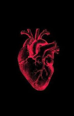 ndln - ktq • heartbeat