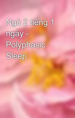 Ngủ 2 tiếng 1 ngày - Polyphasic Sleep