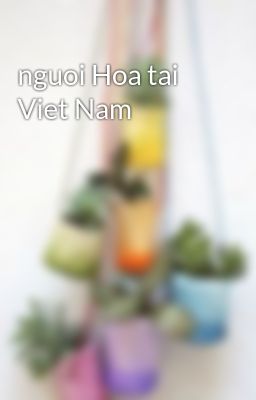 nguoi Hoa tai Viet Nam