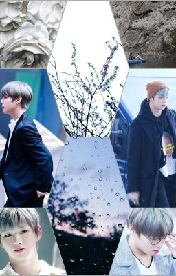 [NielWink] The memory of cherry blossoms