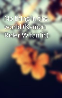 No thing in the world (Kamen Rider W fanfic)
