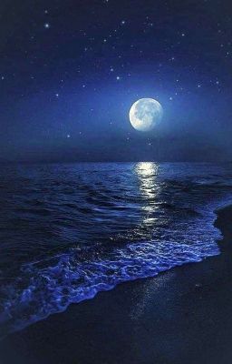 Nơi Mặt Trăng chạm Biển