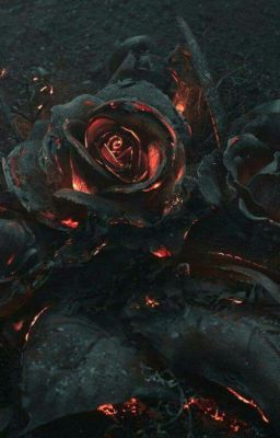 oải hương, sếu, hoa hồng cháy.