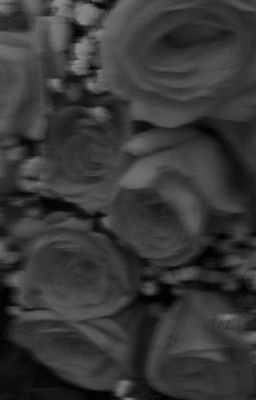 [OE/Sano Manjiro] Bông hoa hồng trắng trong lồng kính