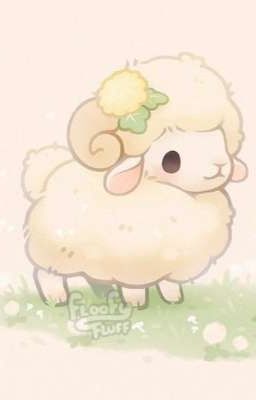 (One Piece) 1001 Câu chuyện về bé cừu 