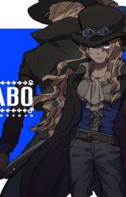 [One Piece] Ace x Sabo: Tớ sẽ đưa cậu quay trở về...
