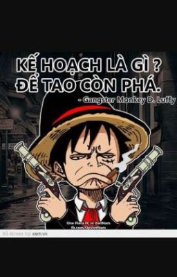 One Piece Chế