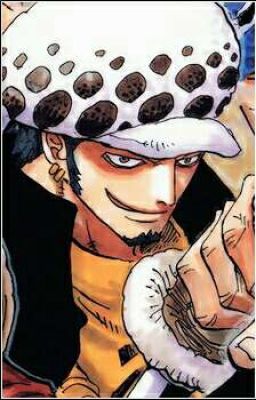 [ One Piece ] - ( Law * Reader)  Another story 