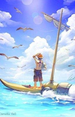[One Piece] Thuyền Trưởng Hôm Nay Quên Mang Chỉ Số Thông Minh