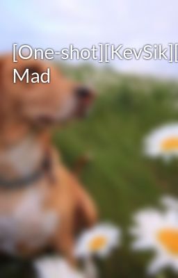 [One-shot][KevSik][PG-13] Mad