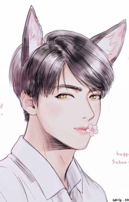 [Oneshot|EXO Sehun|FG] Yêu thương của mèo