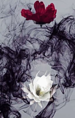 [OneShot][JunSeob] Flower