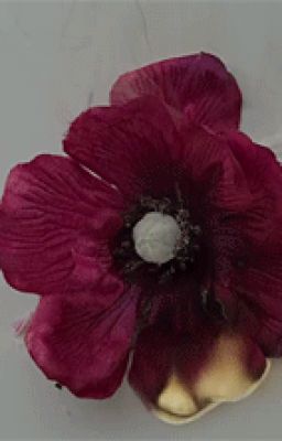[Oneshot] (Junseob) Hoa trái mùa