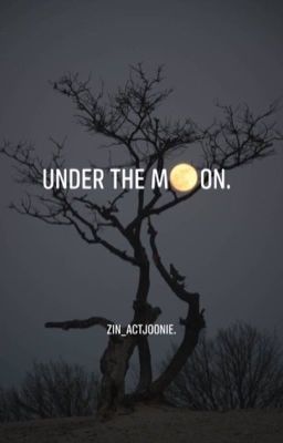 oneshot | kookmin • under the moon. 👌🏻 