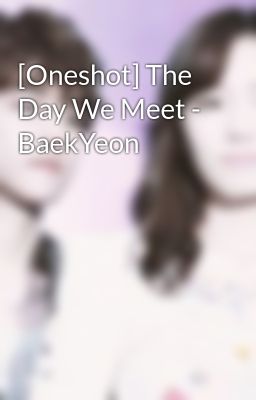 [Oneshot] The Day We Meet - BaekYeon