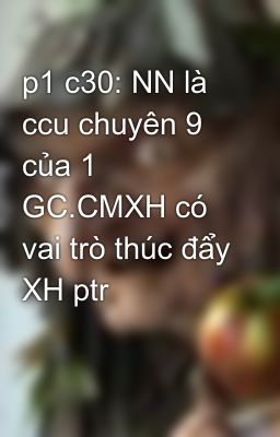 p1 c30: NN là ccu chuyên 9 của 1 GC.CMXH có vai trò thúc đẩy XH ptr