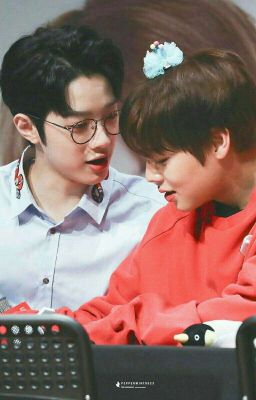 || PanWink|| MARRIAGE CONTRACT