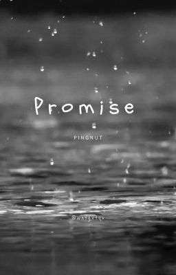 [PingNut] Promise