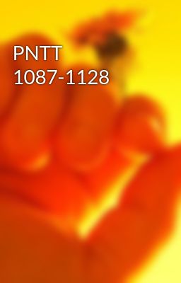 PNTT 1087-1128