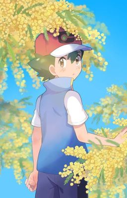 Pokémon: One true pairing (AllSatoshi)