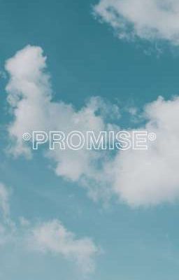° PROMISE °
