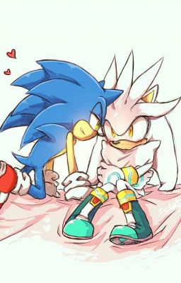 Protect You Forever [Sonic X Silver / Sonilver]