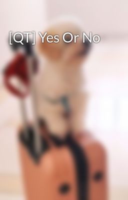 [QT] Yes Or No