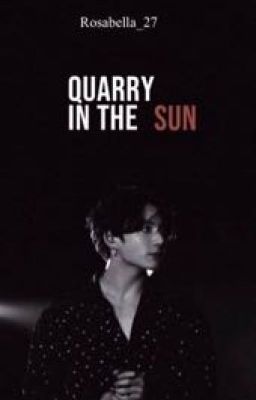Quarry in the sun |Taekook|