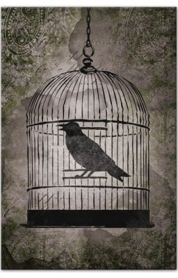 [R18] [HanDra] Chim trong lồng