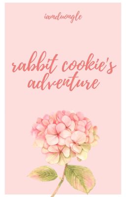 rabbit cookie's adventure-KookMin