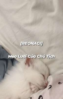 [REONAGI] Mèo Lười Của Chủ Tịch 