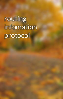 routing infomation protocol