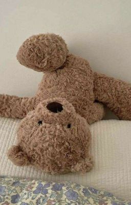 rutothonny | teddy bear