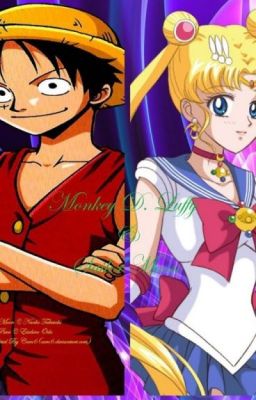 [SailorMoon crossover One Piece]The Princess & The Pirate