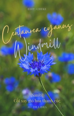 [SanRi] Centaurea Cyanus Windmill