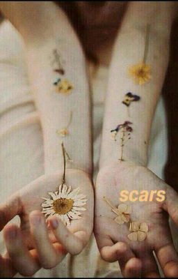 scars | chamseob
