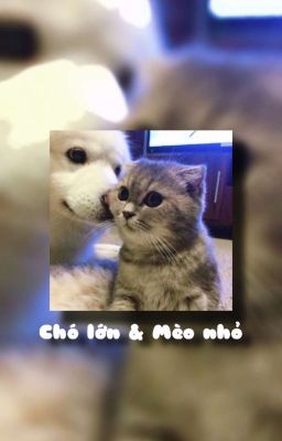 [Seishu × Chifuyu] Chó Lớn & Mèo Nhỏ