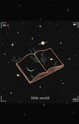[seokjin°namjoon| little world]