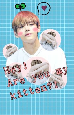 [Series 1] [VMin] {Hey! Are you my kitten?!}