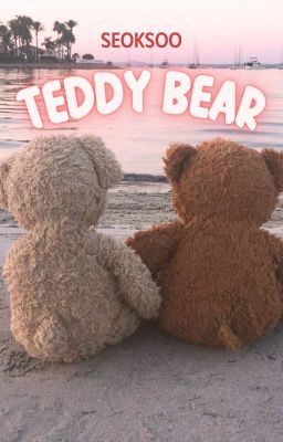 [ SEVENTEEN ] [ Textfic ] [Seoksoo ] TEDDY BEAR