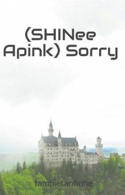 (SHINee Apink) Sorry