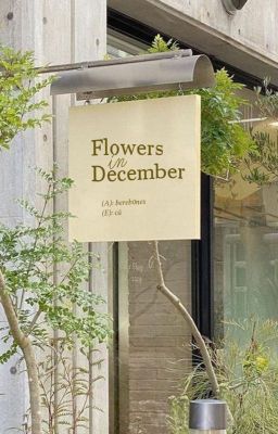 [SHORTFIC] FLOWERS IN DECEMBER / NHỮNG BÔNG HOA THÁNG 12