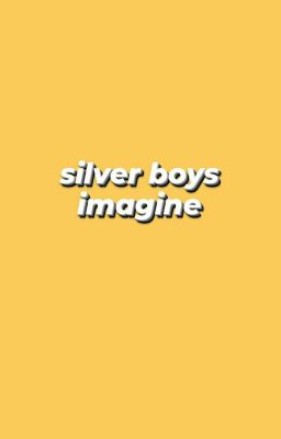 • silver boys imagine • 