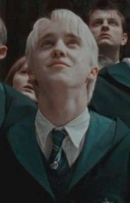 | Similarity | Draco 
