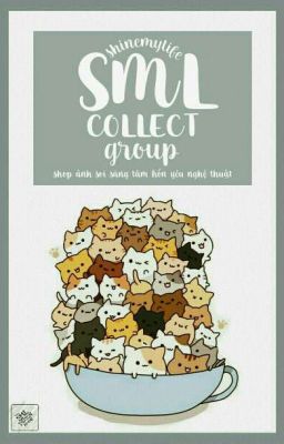 SML | COLLECT GROUP | Tạm Đóng